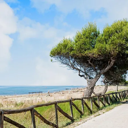 Apartman Flat In A With Balcony